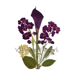 Cartes de fleurs pressées - Ensemble de 6 cartes imprimées - Calla Lily - #113