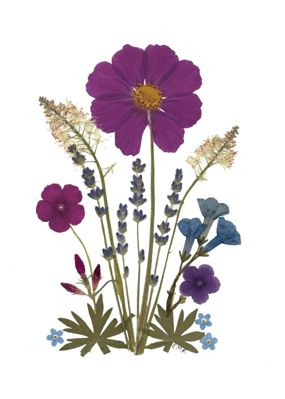 Pressed Flower Cards Set of 6 Printed Notecards 133 Etsy