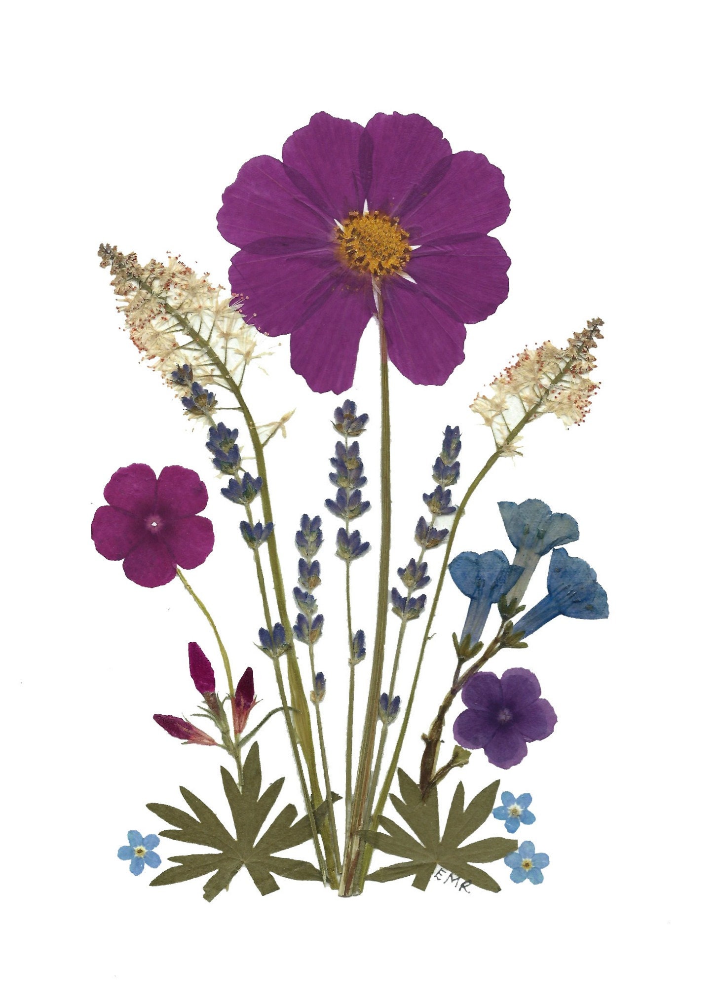 Pressed Flower Cards - Set of 6 Printed Notecards - #133 - Etsy