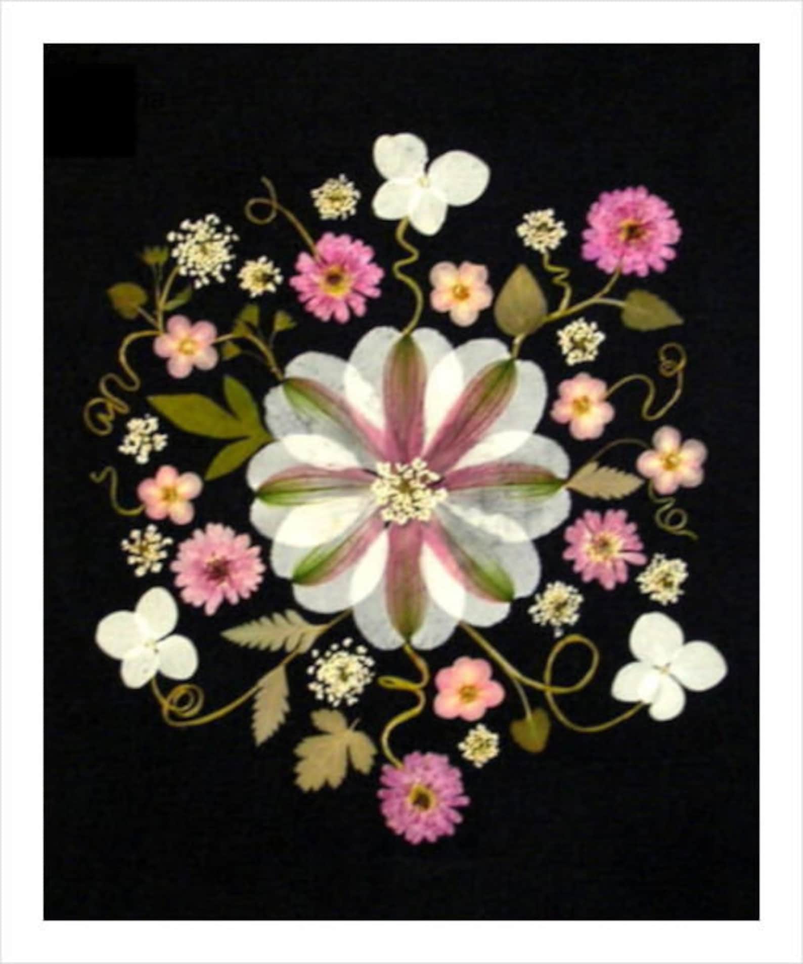Pressed Flower Cards - Set of 6 Printed Notecards - Flower Mandala ...