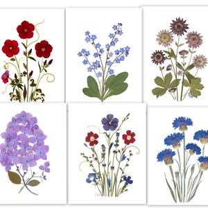 6 Cartes de fleurs pressées - Cartes de notes imprimées, Cartes de notes assorties - Cartes de remerciement - #102