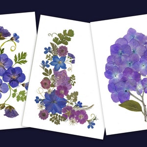 Cartões de flores prensadas - Conjunto de 6 cartões impressos - Papelaria em branco - #038