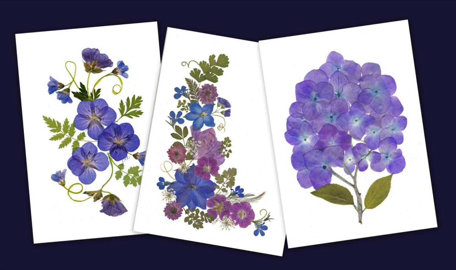 Pressed Flower Cards - Set of 6 Printed Notecards - Blank Stationery ...
