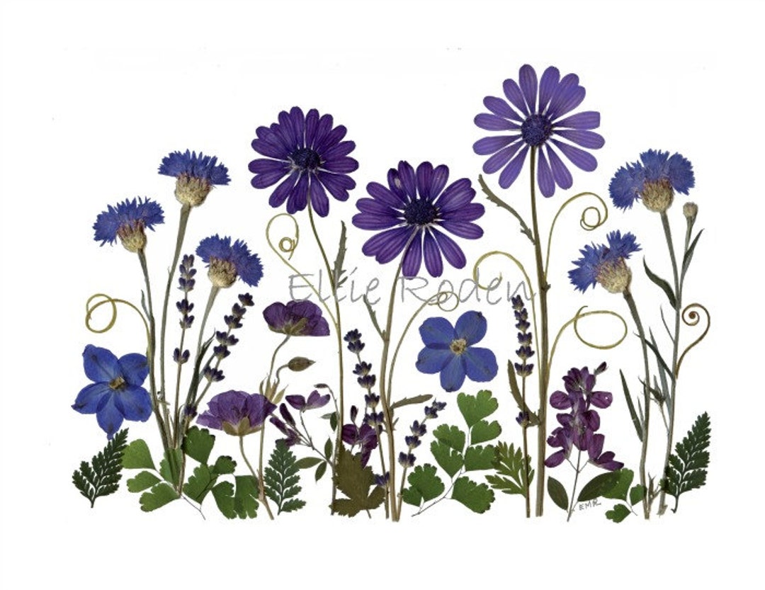 6 Note Cards - Set of 6 Pressed Flower Cards - Printed Notecards- Blank ...
