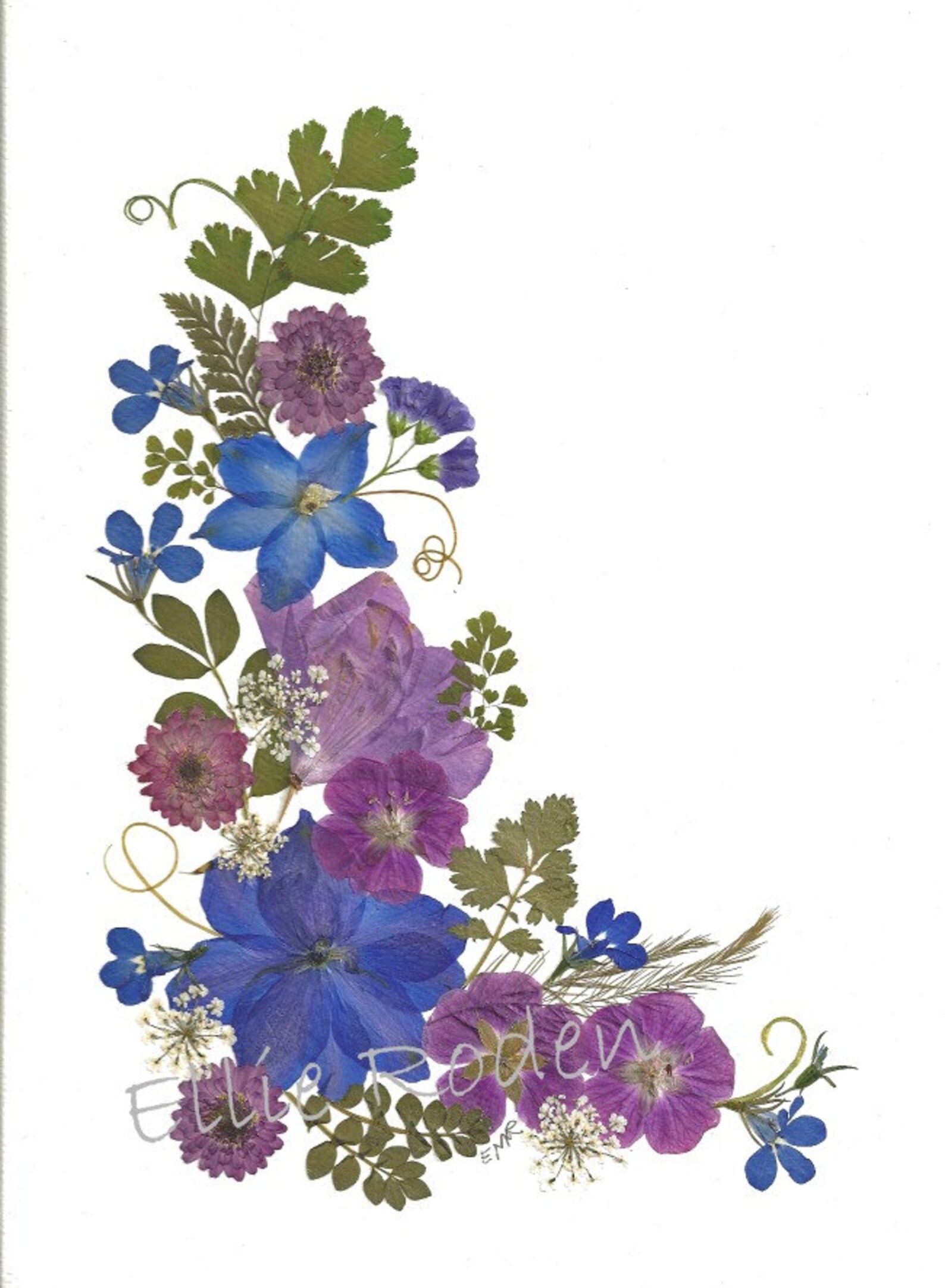 Pressed Flower Cards - Set of 6 Printed Notecards - Blank Stationery ...