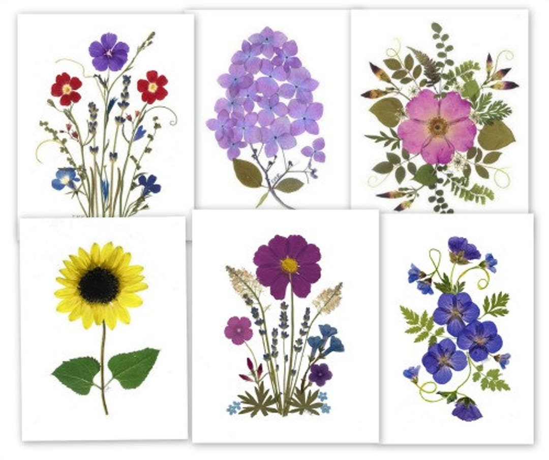 Pressed Flower Cards - Assortment of 6 Printed Notecards - Gift for Her ...