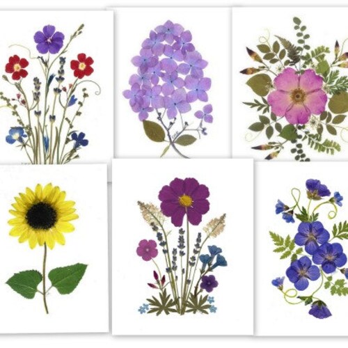 Note Cards Set of 6 Pressed Flower Cards Printed Etsy