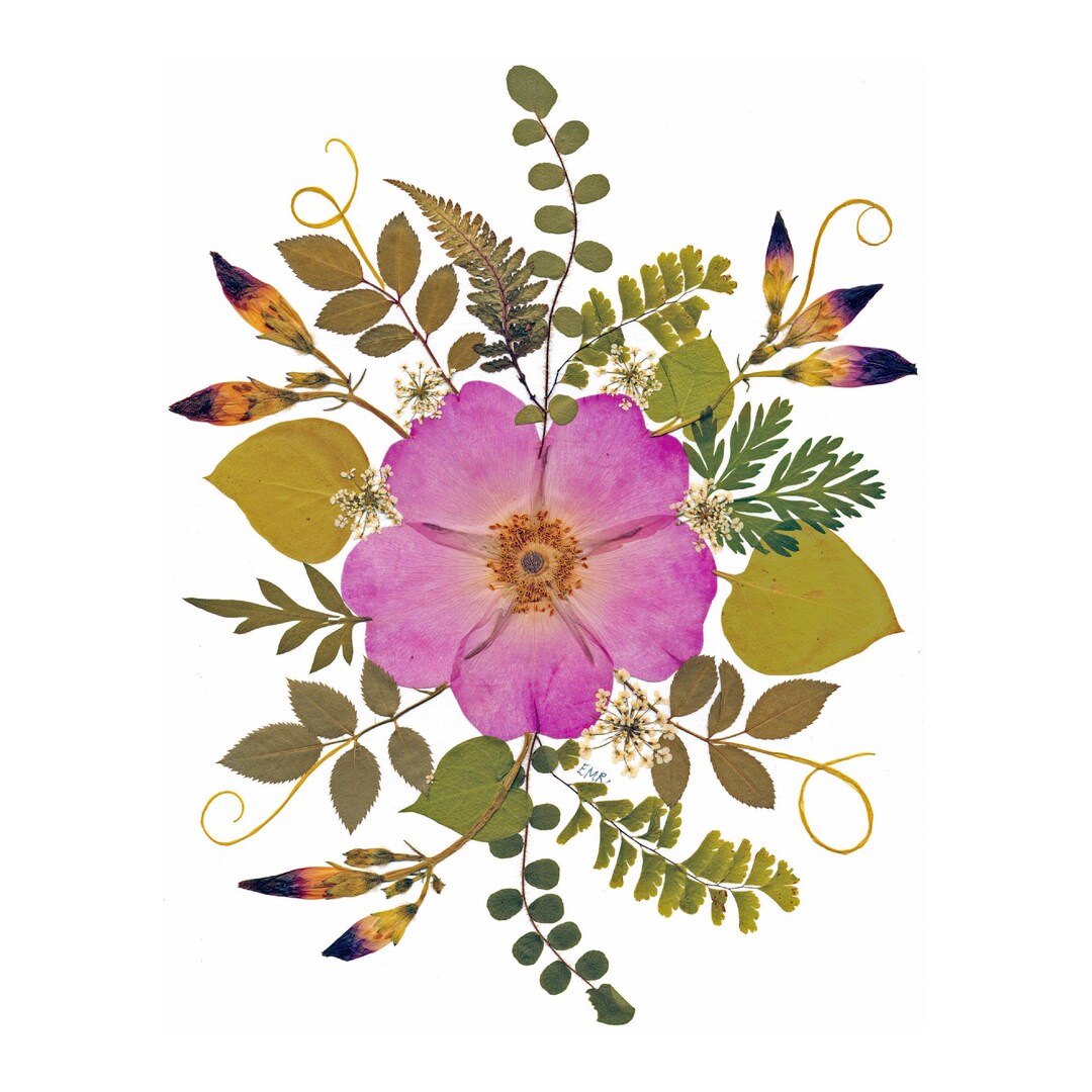 Pressed Flower Cards - Set of 6 Printed Notecards - Pink Rose - #043 - Etsy