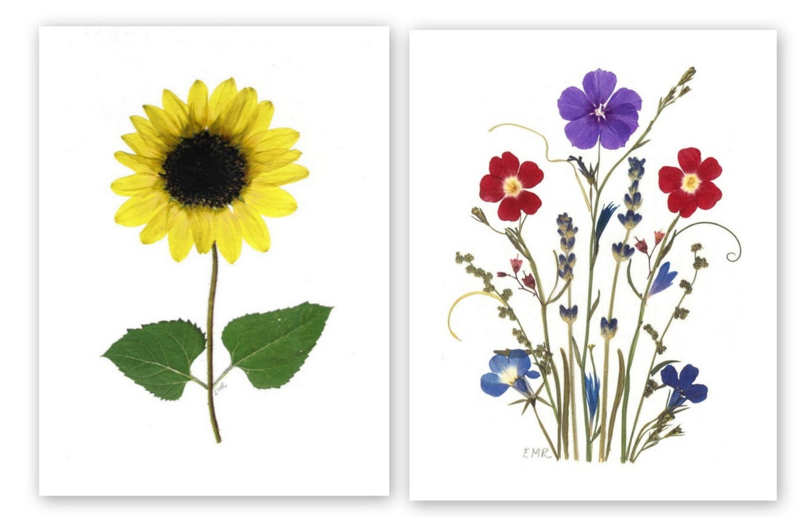 Pressed Flower Cards - Assortment of 6 Printed Notecards - Gift for Her ...