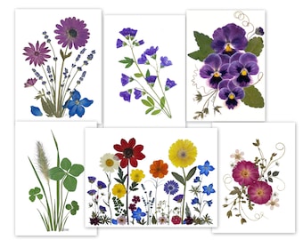 Set of 6 Pressed Flower Cards - Printed Notecards - Best Seller  #114