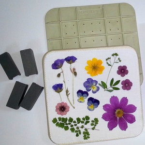 Microwave Flower Press 5 x 5 Flower Press Gift for flower lovers 077 image 2