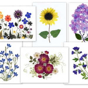 de fleurs pressées | 6 cartes pour lettres pliées assorties | Cartes imprimées I Cadeau pour elle | #060