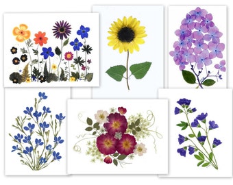 Pressed Flower Cards | 6 assorted folded notecards | Printed cards I Gift for Her | #060