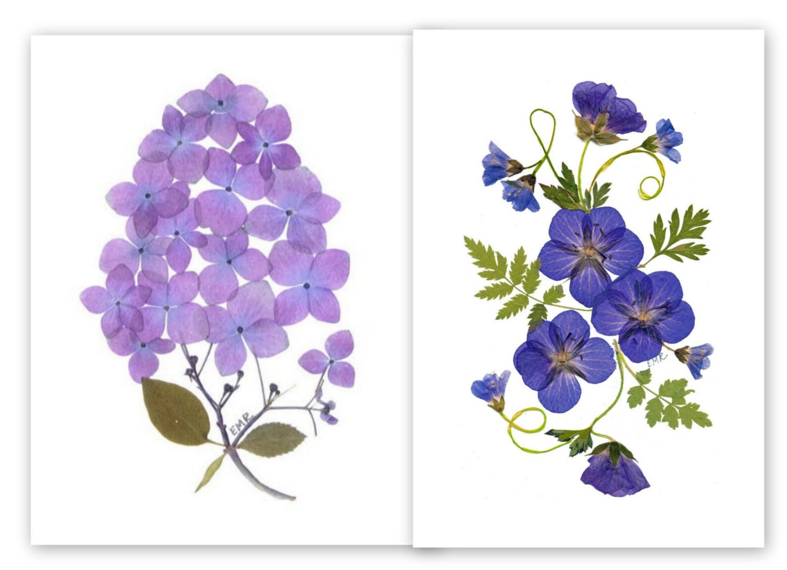 Pressed Flower Cards 6 Assorted Pressed Flower Notecards Etsy