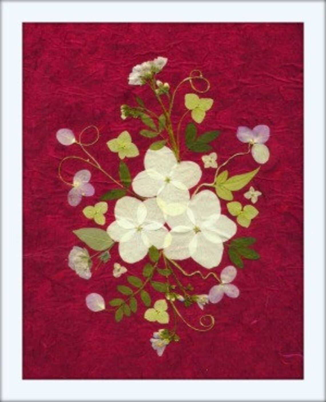 Pressed Flower Cards - Set of 6 Printed Notecards - Blank Stationery ...