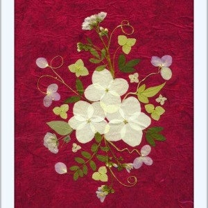Cartes de fleurs pressées - Ensemble de 6 cartes de notes imprimées - Papeterie vierge - #032
