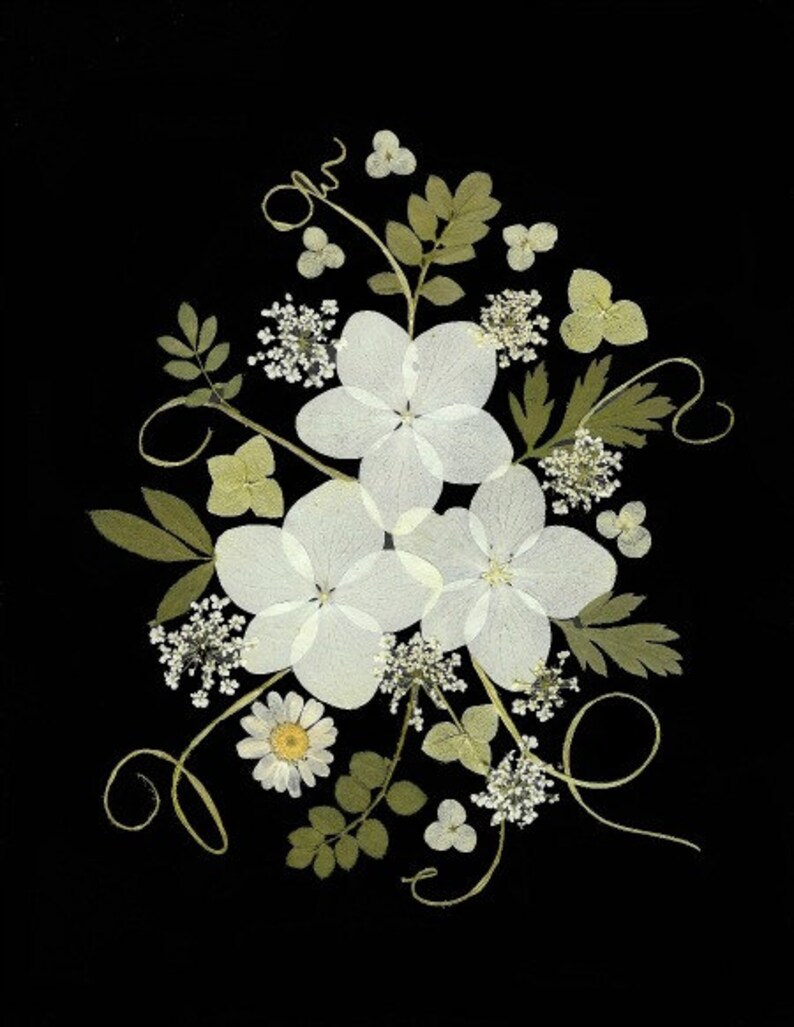 Pressed Flower Cards - Set of 6 Printed Notecards - Blank Cards #132 - Etsy