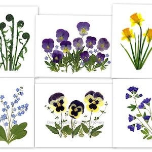 6 tarjetas con flores prensadas impresas con motivos de primavera. Juego de 6 tarjetas plegadas. N.º 129