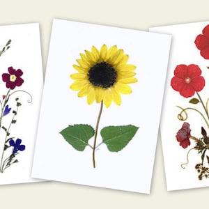 6 gepresste Blumenkarten - Set von 6 gedruckten Notizkarten - Dankeskarten - #041