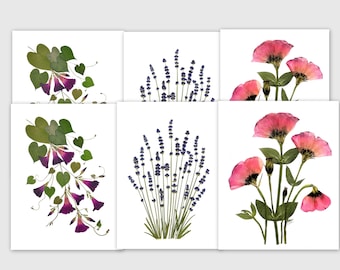 Pressed flower notecards, Set of 6 printed cards,  Thank you notes - Hostess Gift  - #128