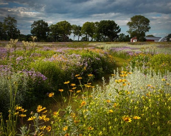 Nygren Wetland Prairie 16x20