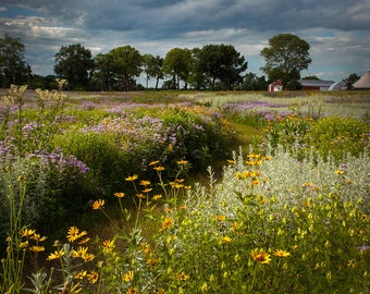 Nygren Wetland Prairie 5x7