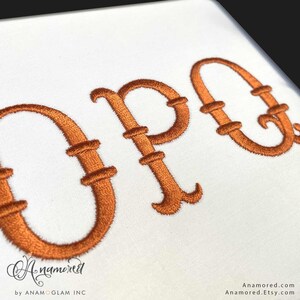2 sizes (2 & 3 inch) French Fishtail Machine Embroidery Font Monogram Font, Full Alphabet, Bx included image 9