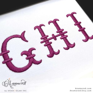 2 sizes (2 & 3 inch) French Fishtail Machine Embroidery Font Monogram Font, Full Alphabet, Bx included image 6