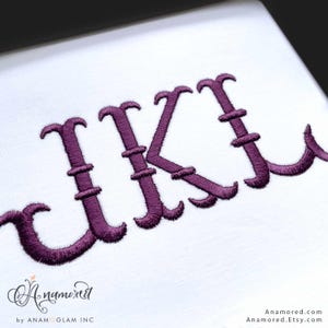 2 sizes (2 & 3 inch) French Fishtail Machine Embroidery Font Monogram Font, Full Alphabet, Bx included image 7
