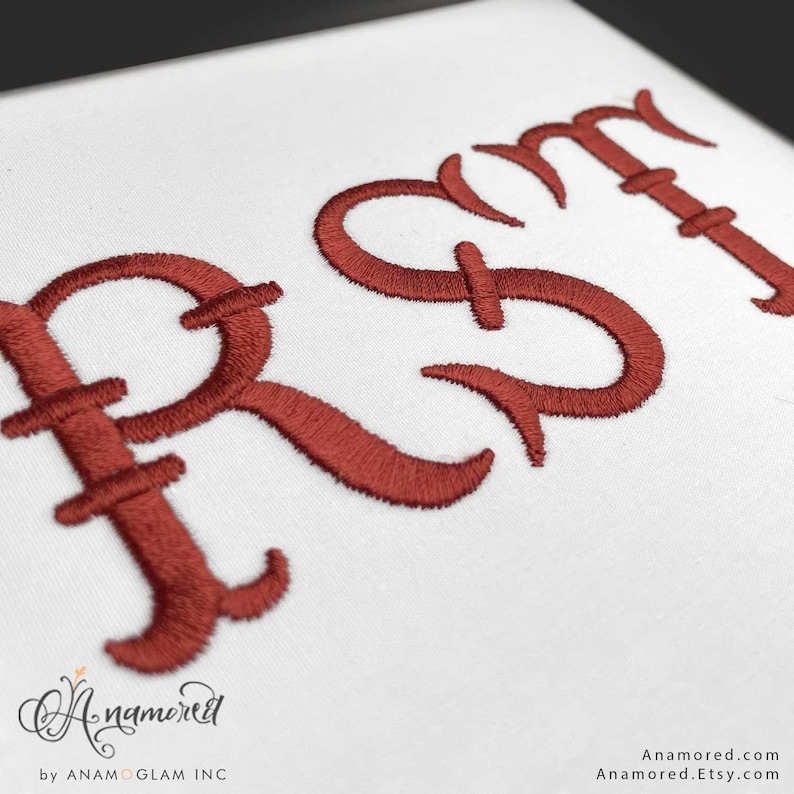 2 sizes (2 & 3 inch) French Fishtail Machine Embroidery Font Monogram Font, Full Alphabet, Bx included image 10