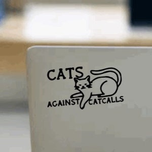 Cats Against Catcalls Vinyl Decal // Choice of colors