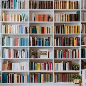 May include: A large white bookshelf filled with a diverse collection of books. The books are arranged by color, creating a visually appealing display. The shelves also hold framed pictures and small potted plants, adding decorative elements to the room.