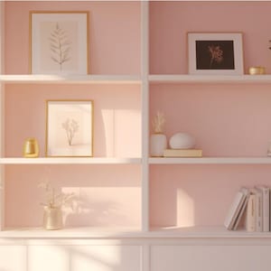 May include: A pale pink built-in bookcase with white shelves. It features framed botanical prints, books, decorative vases, and gold accents. A leafy plant is on the left, with sunlight streaming in from a window.