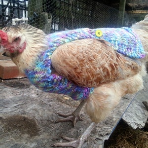 Suéteres de pollo de punto peso medio Ropa de gallina Accesorios para aves de corral Jersey para animales pequeños Hecho a mano imagen 3