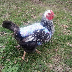 Suéteres de pollo de punto peso medio Ropa de gallina Accesorios para aves de corral Jersey para animales pequeños Hecho a mano imagen 9