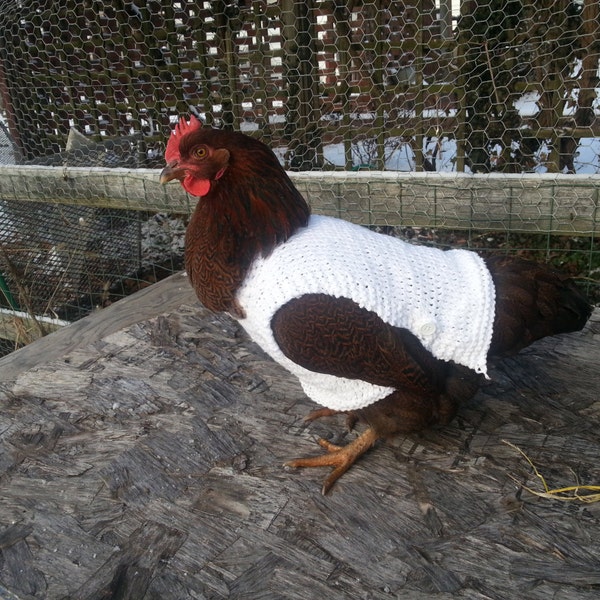 Knit Chicken Sweaters (Medium Weight) - Hen Clothing - Poultry Accessories - Small Animal Jumper -  Handmade