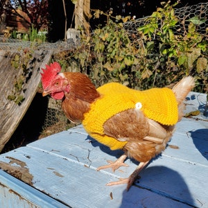 Suéteres de pollo de punto peso medio Ropa de gallina Accesorios para aves de corral Jersey para animales pequeños Hecho a mano imagen 5