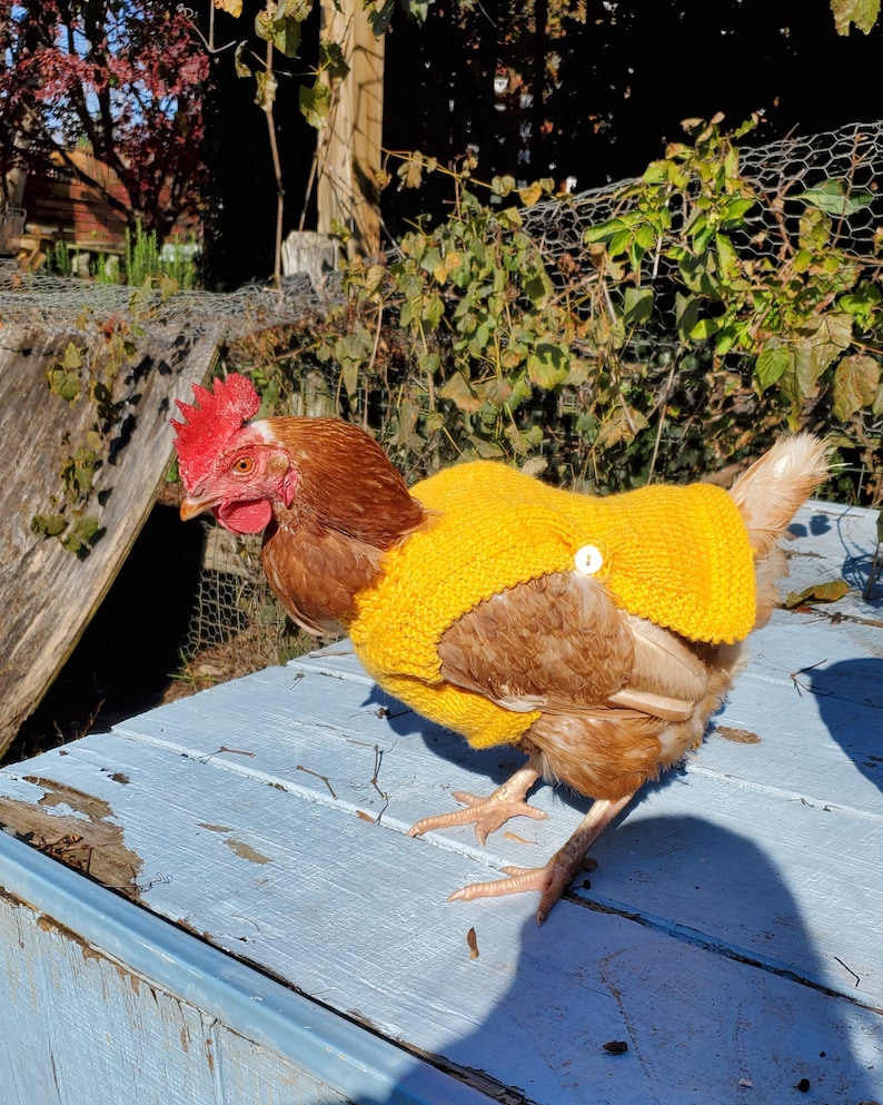 Suéteres de pollo de punto peso medio Ropa de gallina Accesorios para aves de corral Jersey para animales pequeños Hecho a mano imagen 5