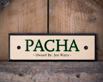 Custom Painted Horse Name Stall Sign