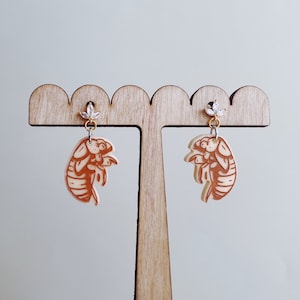 May include: A pair of earrings featuring a detailed illustration of a cicada on a white background. The earrings are hanging from a wooden display stand.