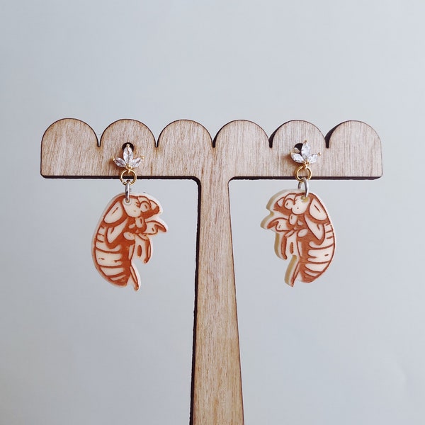 Cicada invasion shell / exoskeleton acrylic Earrings