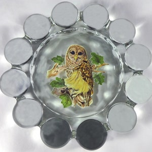 May include: A clear glass ashtray with a raised rim and 12 small, round, clear glass knobs around the edge. The center of the ashtray features a printed image of a brown and white owl perched on a branch with green leaves.
