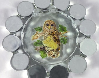 Vintage 1980's Westmoreland Elegant Clear Crystal Glass With Barred Owl Decal 5"d Crystal Ball Ring Pattern Ashtray