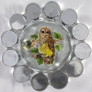 May include: A clear glass ashtray with a scalloped edge and a printed image of an owl on a branch. The ashtray has a blue and gold label that reads "West Germany Glass".
