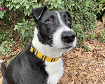 hufflepuff cat collar