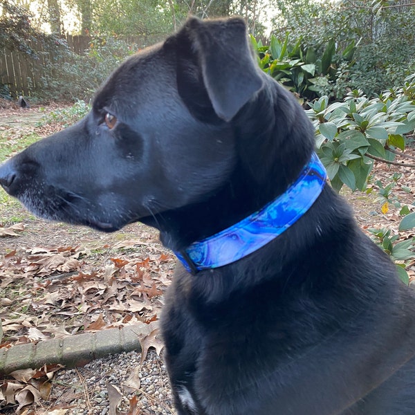 Dog/Cat Collar- Blue Marble