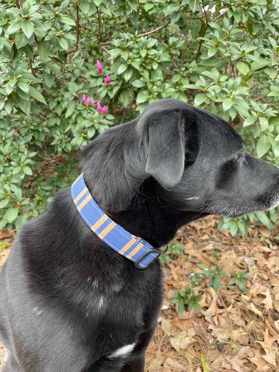 Dog Cat Collar Ravenclaw Stripe