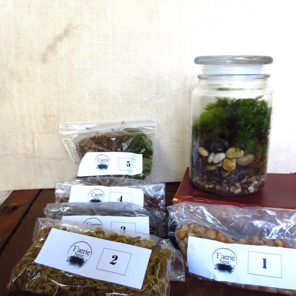 Large Moss Terrarium Kit with Jar DIY Terrarium Layers with Jar Moss Terrarium Kit Apothecary Jar Terrarium,  Live Moss Terrarium Layers