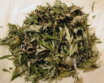 Mugwort