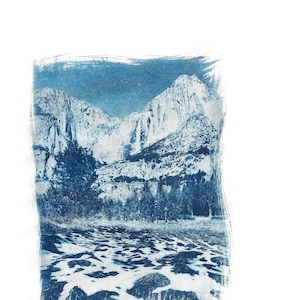 Cooks Meadow Cyanotype Print
